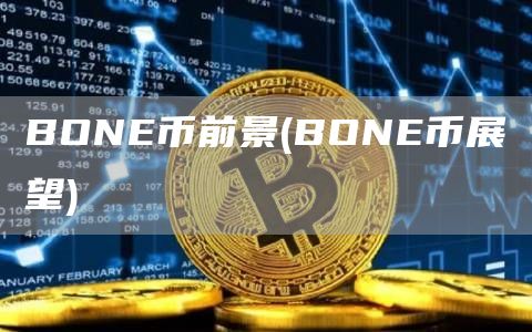 BON币前景 - BON币展望